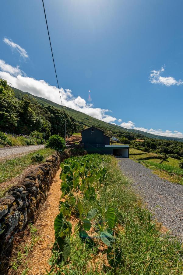 Vila Rosa Cha Santo Amaro  Exteriér fotografie